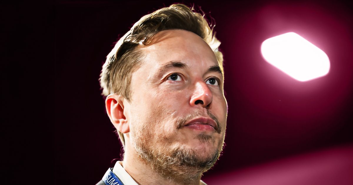 Elon Musk Denies Fathering Amber Heard's Twins: A Timeline Of Events Elon Musk Denies Fathering Amber Heard's Twins: A Timeline Of Events