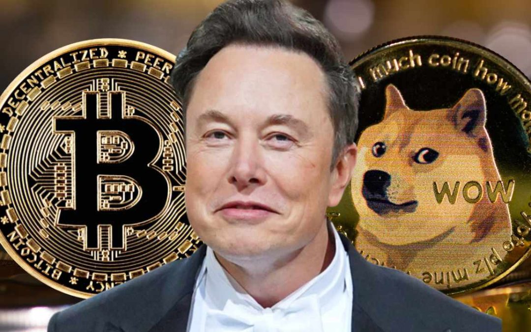 Elon Musk's Dogecoin Holdings: A Comprehensive Update Elon Musk's Dogecoin Holdings: A Comprehensive Update