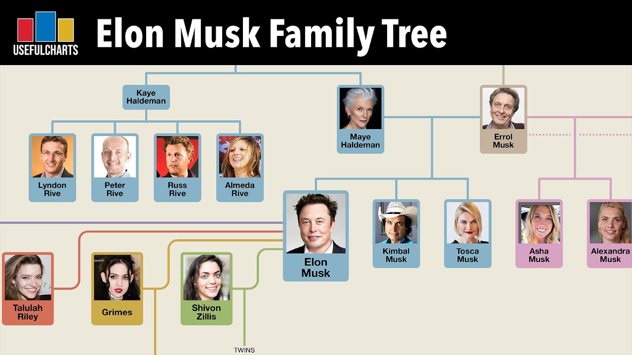 Elon Musk's Family Wealth: The Untold Story Of Maye Musk's Journey Elon Musk's Family Wealth: The Untold Story Of Maye Musk's Journey