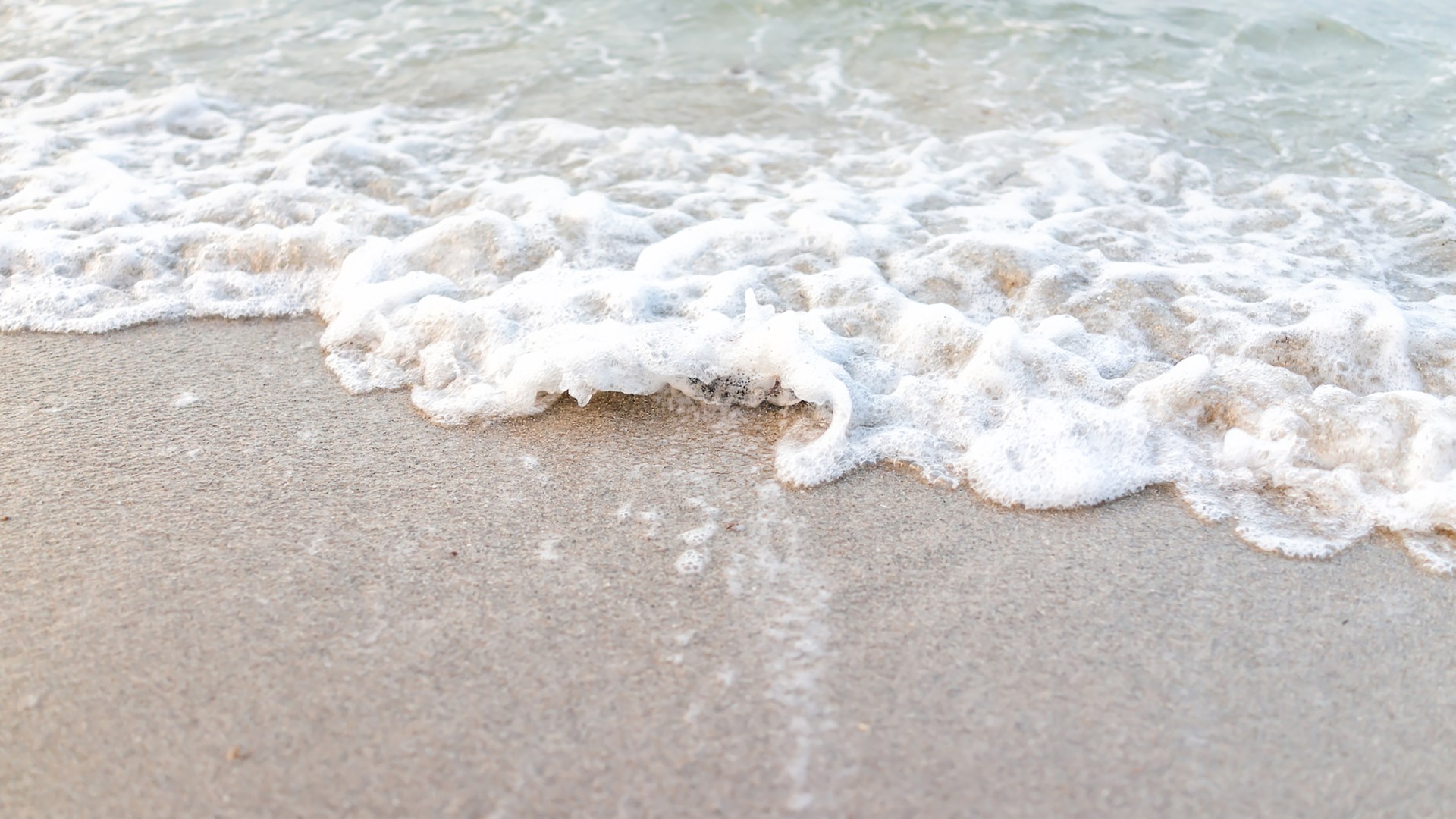 Emergency Red Tide Warning: Cape Cod Beaches Closed