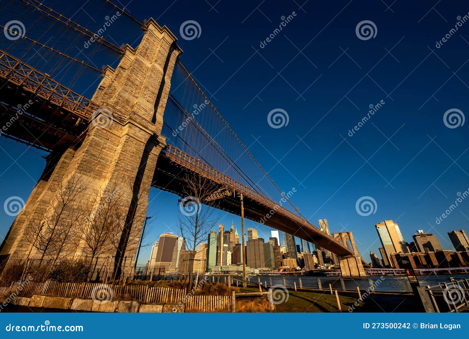 Emily Warren Roebling's Legacy: Engineering, Perseverance, And The Brooklyn Bridge Emily Warren Roebling's Legacy: Engineering, Perseverance, And The Brooklyn Bridge