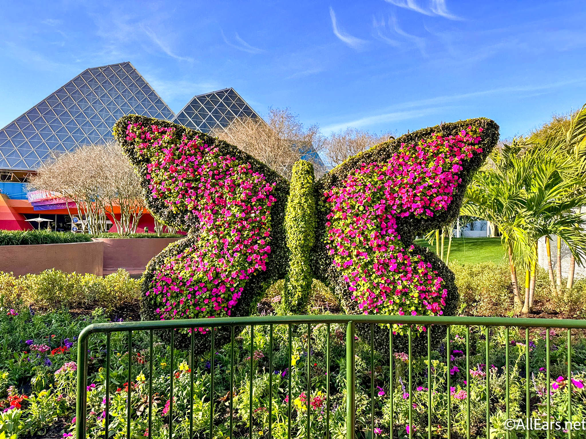 Epcot's Flower & Garden Festival: What To Expect Epcot's Flower & Garden Festival: What To Expect