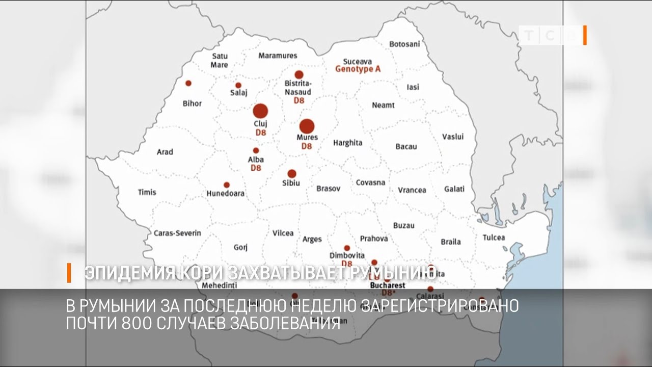 Эпидемия Кори В Монголии: Очередь За Экстренной Помощью Эпидемия Кори В Монголии: Очередь За Экстренной Помощью