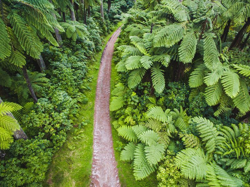 Exploring Rotorua: Immerse Yourself In New Zealand's Cultural Heritage Exploring Rotorua: Immerse Yourself In New Zealand's Cultural Heritage