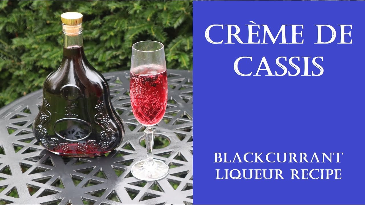 Exploring The Richness Of Cassis Blackcurrant: From Vine To Palate Exploring The Richness Of Cassis Blackcurrant: From Vine To Palate