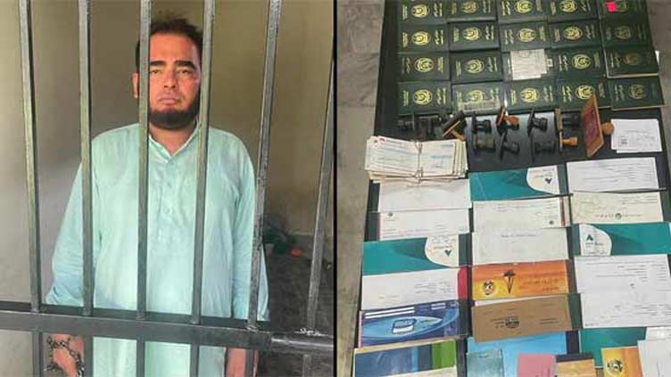 FIA Announces Four More Arrests In Human Smuggling Investigation FIA Announces Four More Arrests In Human Smuggling Investigation