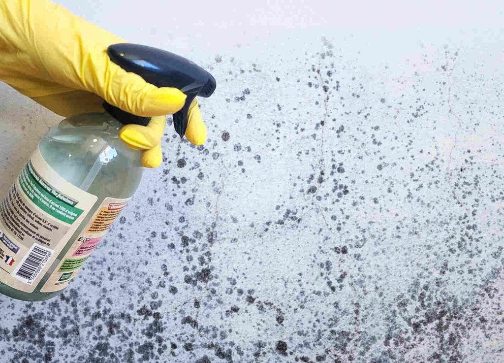 Filtration De L'eau Du Robinet : Comment Éliminer La Pollution Et Améliorer Sa Qualité ? Filtration De L'eau Du Robinet : Comment Éliminer La Pollution Et Améliorer Sa Qualité ?
