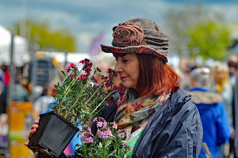 Forty Thousand Expected At Harrogate Spring Flower Show Forty Thousand Expected At Harrogate Spring Flower Show