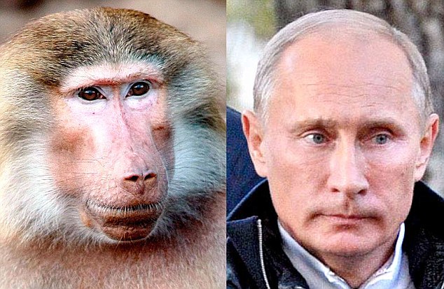 From Randy Dog To Ostrich Bite: Boris Johnson's Unfortunate Animal Interactions From Randy Dog To Ostrich Bite: Boris Johnson's Unfortunate Animal Interactions