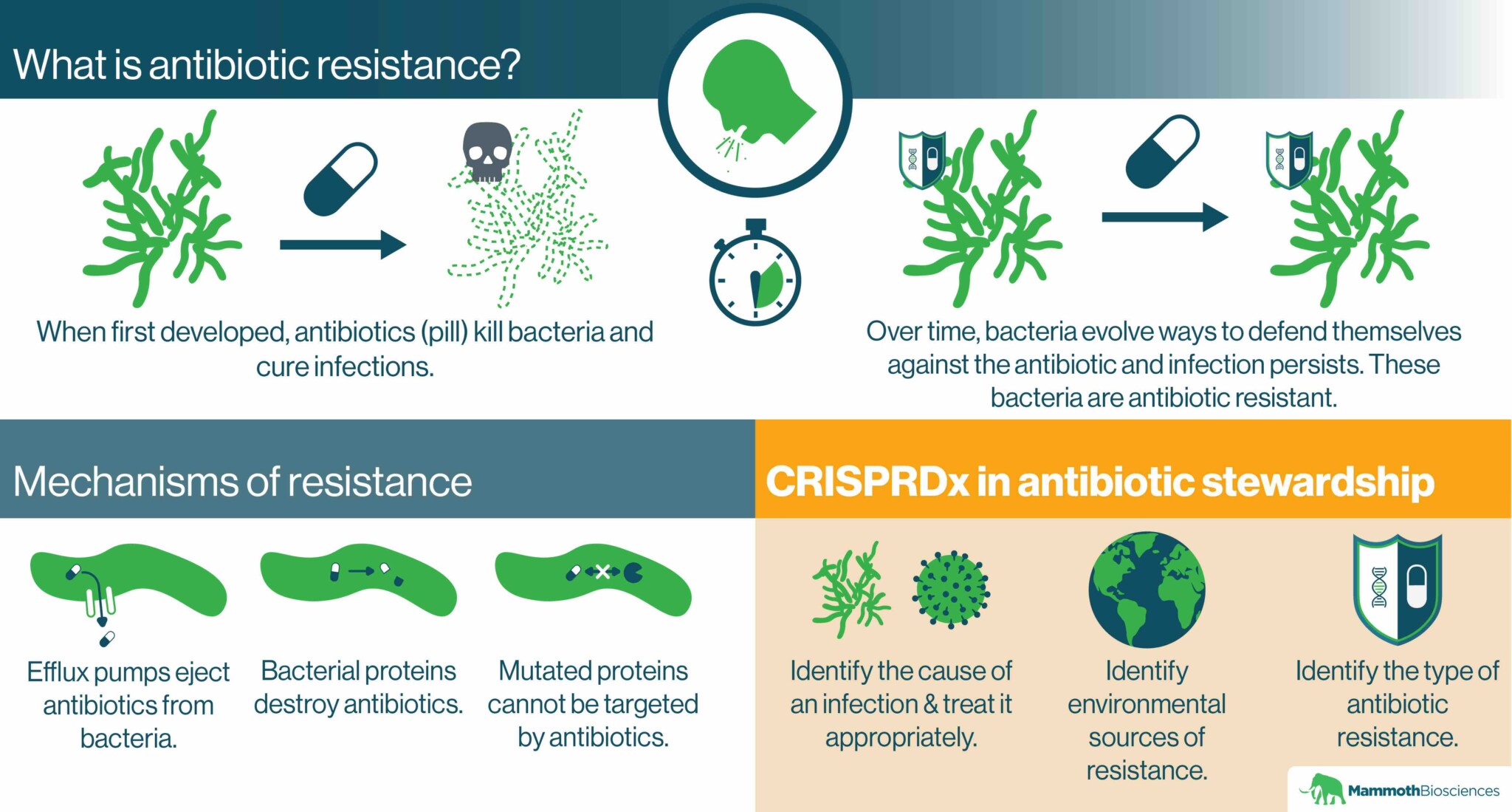 Fungal Infections: A Growing Threat Of Antibiotic Resistance Fungal Infections: A Growing Threat Of Antibiotic Resistance