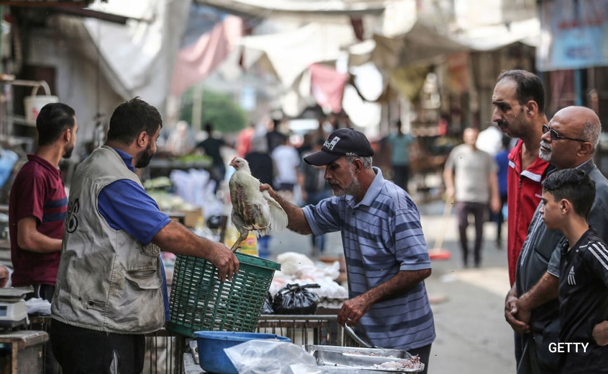 Gaza Food Supplies: Israel Lifts Restrictions, Allows Imports Gaza Food Supplies: Israel Lifts Restrictions, Allows Imports