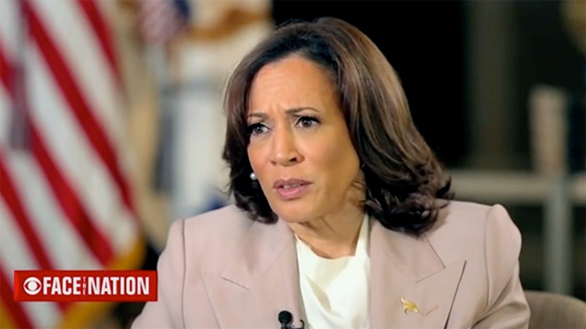 Gen Z Influencer's Path To Congress: Running For Office After Kamala Harris Campaign Gen Z Influencer's Path To Congress: Running For Office After Kamala Harris Campaign
