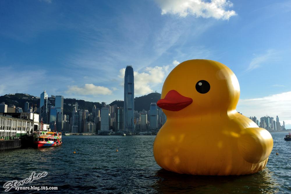 Giant Rubber Duck Arrives In Myrtle Beach: A Message For All Giant Rubber Duck Arrives In Myrtle Beach: A Message For All
