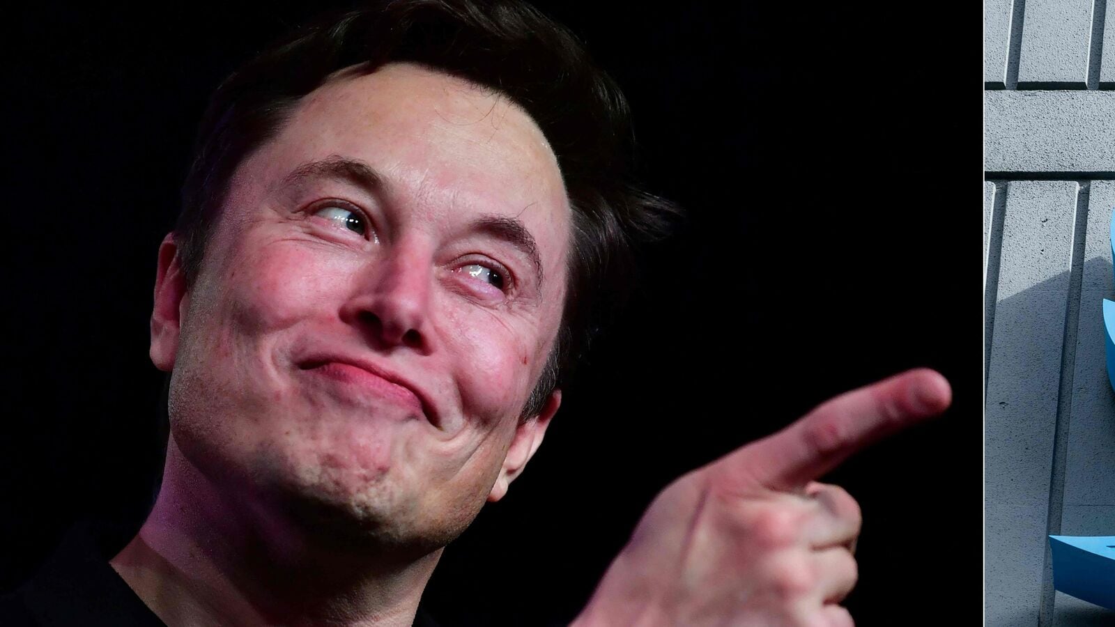 Gork Meme Coin: Price Surge Follows Elon Musk's Twitter Name Update Gork Meme Coin: Price Surge Follows Elon Musk's Twitter Name Update