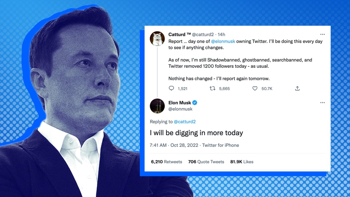 Gork Meme Coin Value Jumps: Impact Of Elon Musk's Twitter Name Change Gork Meme Coin Value Jumps: Impact Of Elon Musk's Twitter Name Change