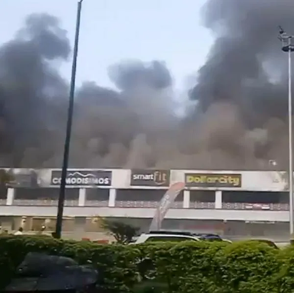 Grave Incendio Forestal En Constanza: Bomberos Combaten Las Llamas; Residentes Respiran Humo Grave Incendio Forestal En Constanza: Bomberos Combaten Las Llamas; Residentes Respiran Humo