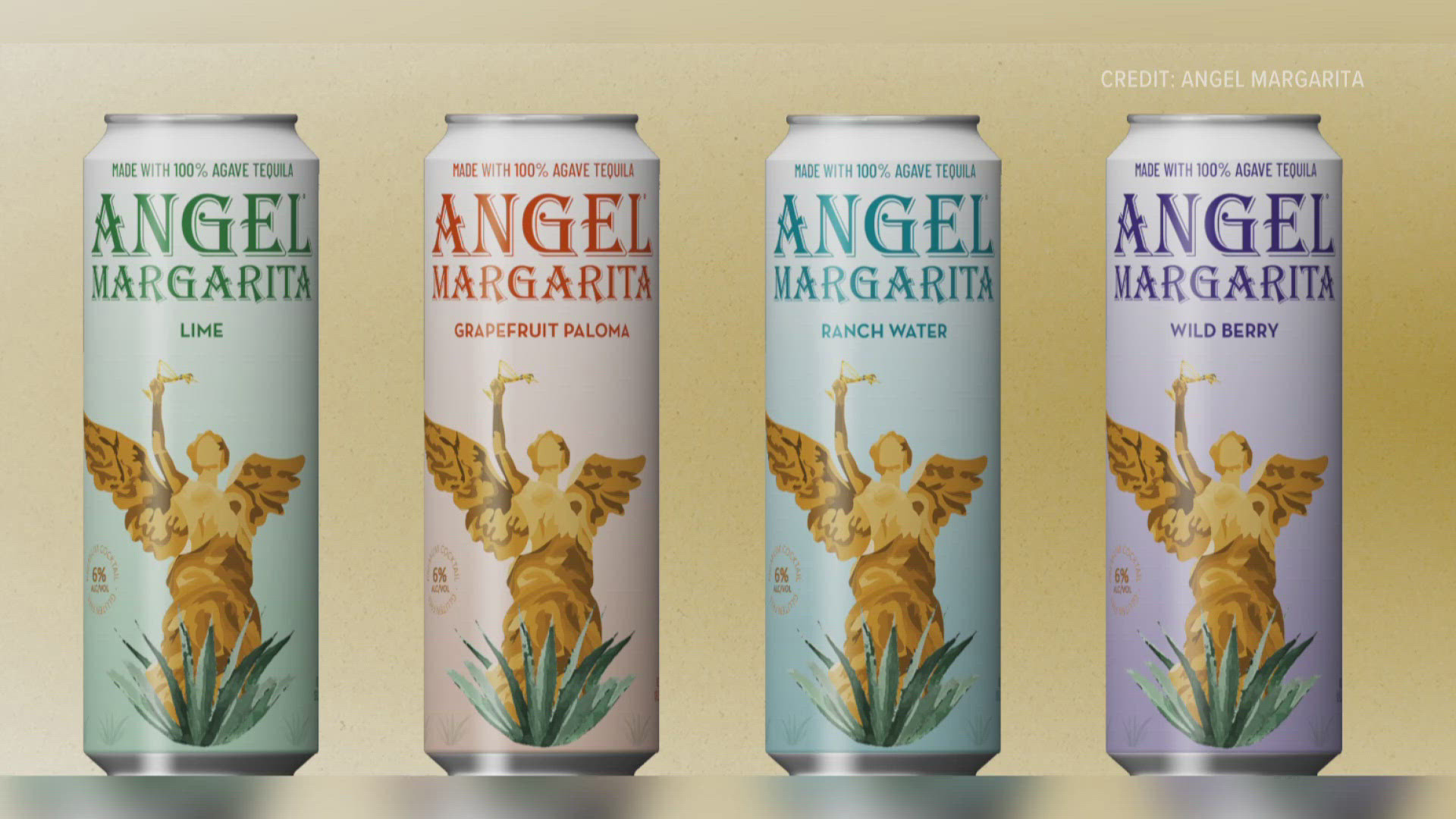 Hailee Steinfeld's Angel Margarita Collaboration With Premium Beers Group Hailee Steinfeld's Angel Margarita Collaboration With Premium Beers Group