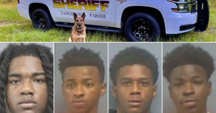 Hair Trimmers Used In Attempted Jailbreak: Louisiana Inmates' Escape Plan Hair Trimmers Used In Attempted Jailbreak: Louisiana Inmates' Escape Plan