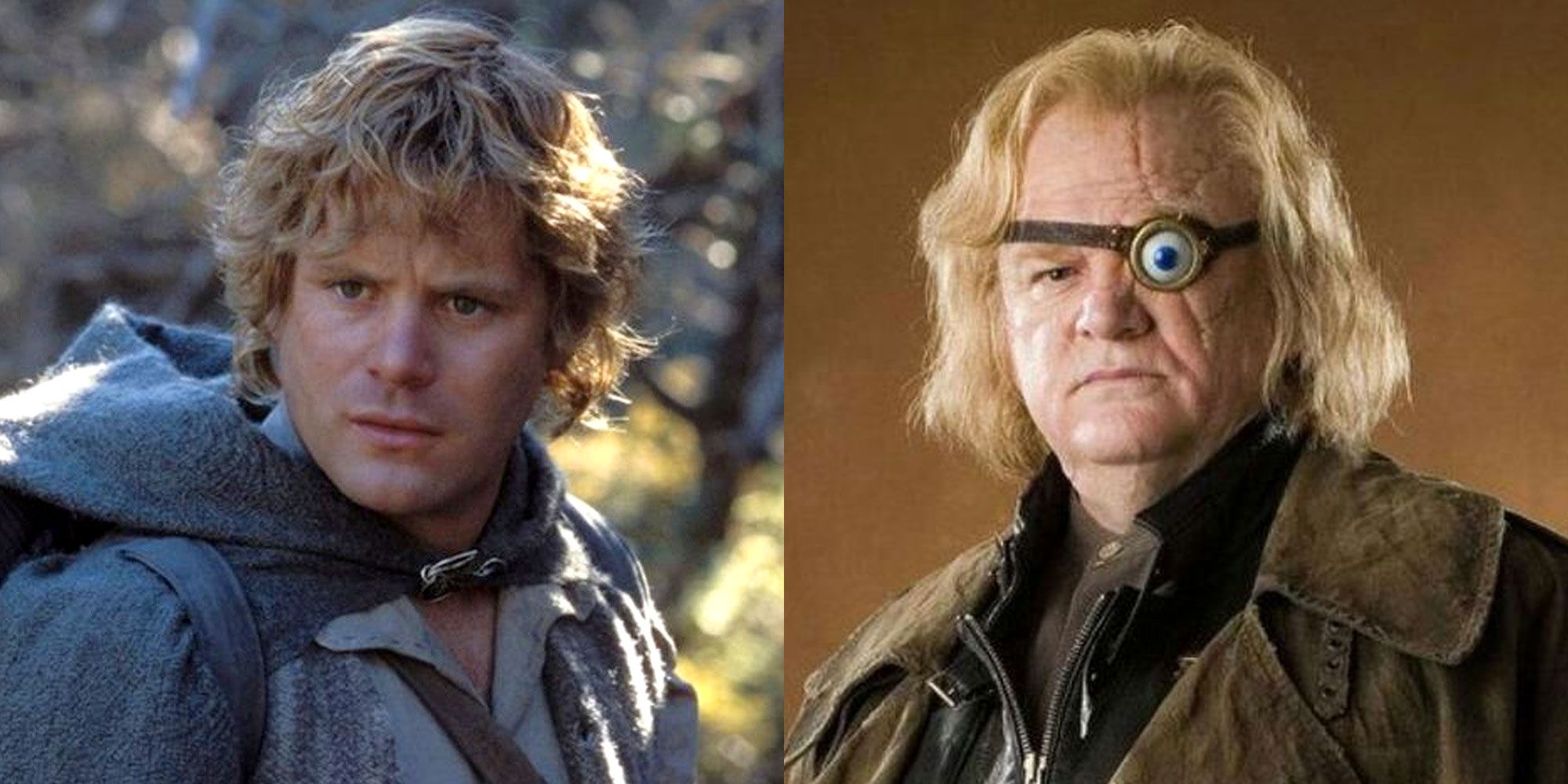 HBO's Harry Potter Remake: Recasting One Key Adult Character HBO's Harry Potter Remake: Recasting One Key Adult Character