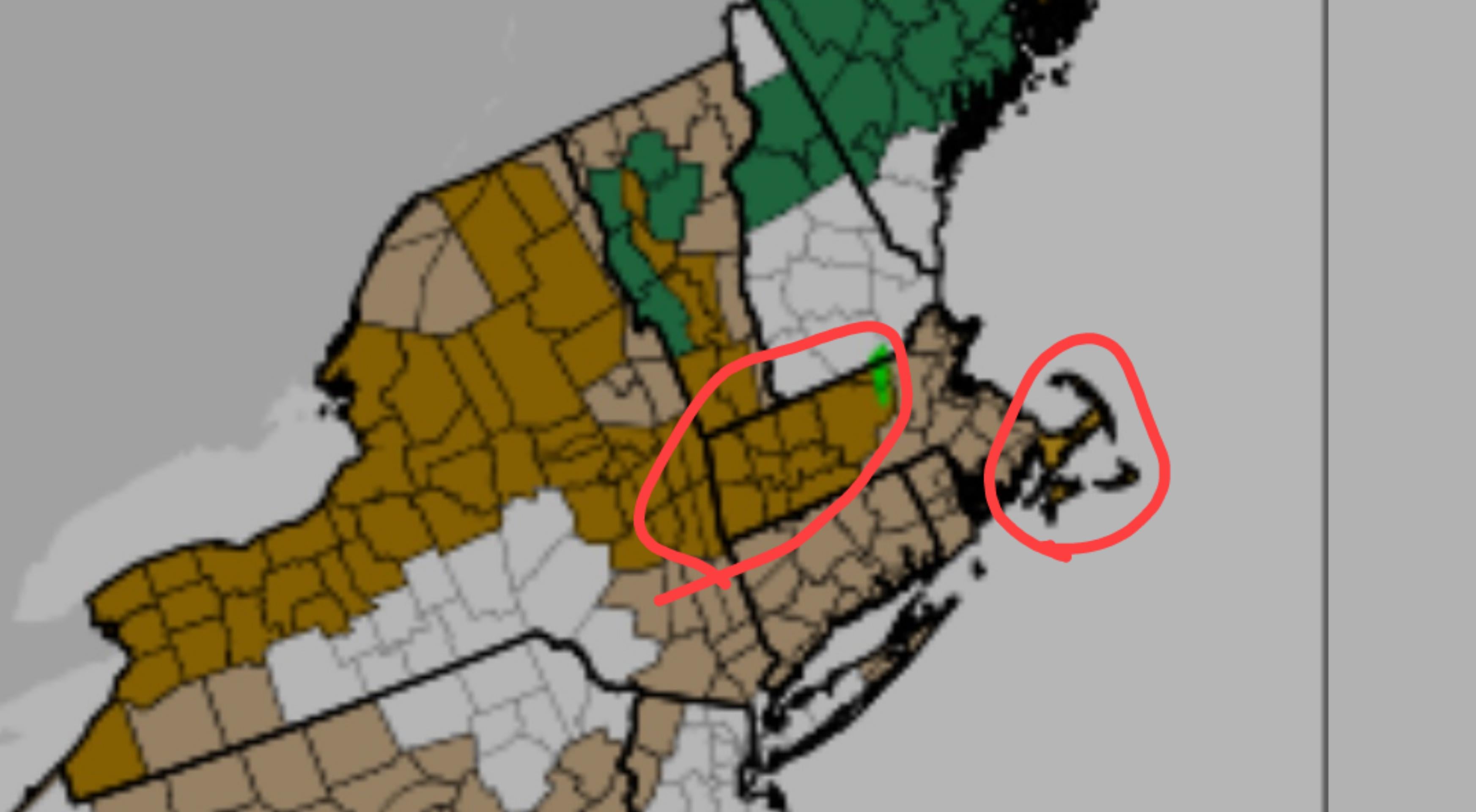 High Wind Warnings: What To Do When Fast-Moving Storms Approach High Wind Warnings: What To Do When Fast-Moving Storms Approach