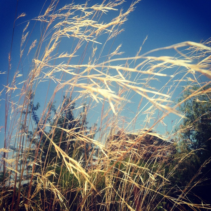 How To Best Enjoy Breezy And Mild Days How To Best Enjoy Breezy And Mild Days