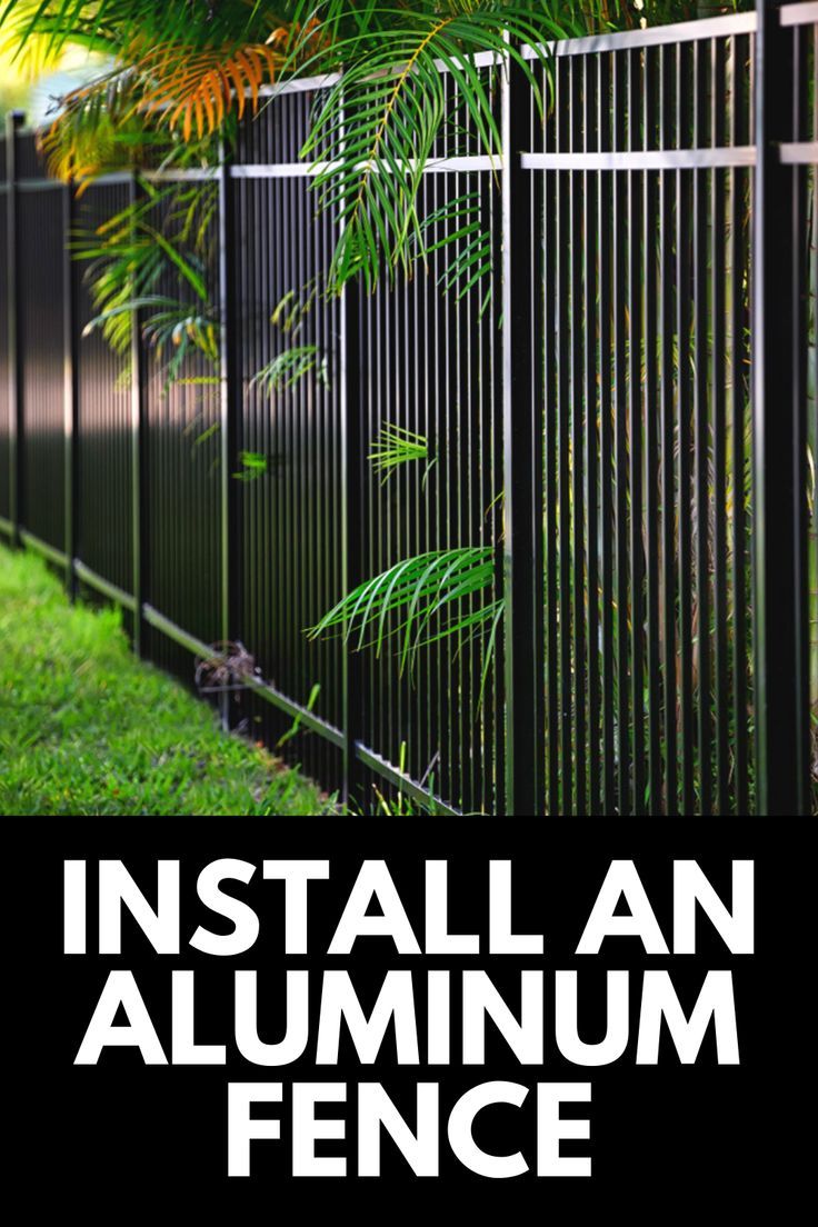 How To Build A Living Fence: A Complete Guide How To Build A Living Fence: A Complete Guide