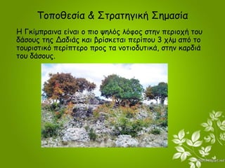 Η Ανάσταση Του Λαζάρου: Τοποθεσία, Σημασία Και Κληρονομιά Στα Ιεροσόλυμα Η Ανάσταση Του Λαζάρου: Τοποθεσία, Σημασία Και Κληρονομιά Στα Ιεροσόλυμα