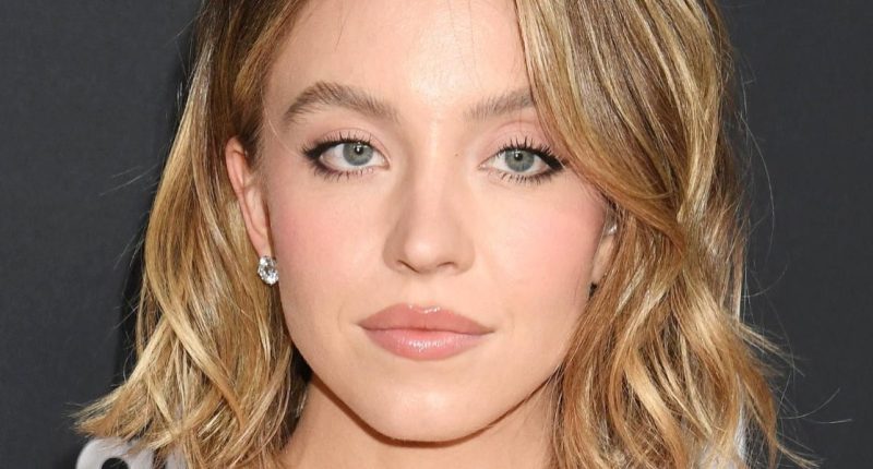 I Pretended To Be A Missing Girl: A Viral Reddit Story And Its Movie Adaptation Starring Sydney Sweeney I Pretended To Be A Missing Girl: A Viral Reddit Story And Its Movie Adaptation Starring Sydney Sweeney