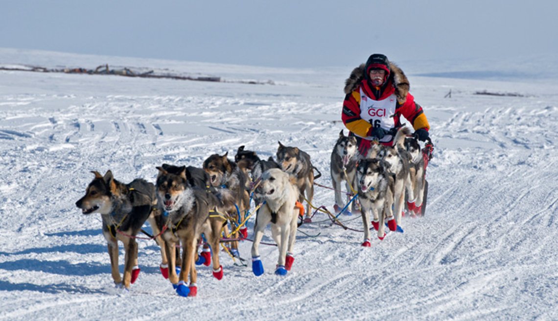 Iditarod 2024: Following Seven Rookie Mushers To Nome Iditarod 2024: Following Seven Rookie Mushers To Nome