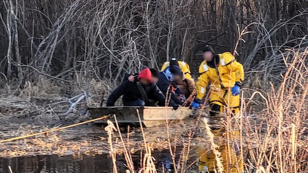 Illegal Hunting Operation Uncovered Near Manitoba-Nunavut Border: RCMP