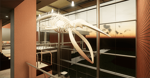 Impact Of Warming Weather On Recovering Anchorage Fin Whale Skeleton Impact Of Warming Weather On Recovering Anchorage Fin Whale Skeleton