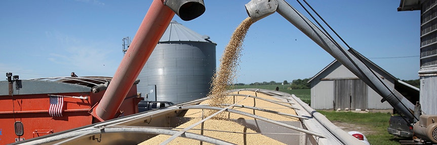 Imported Soybeans Auctioned By Sinograin Amid China Supply Shortage Imported Soybeans Auctioned By Sinograin Amid China Supply Shortage