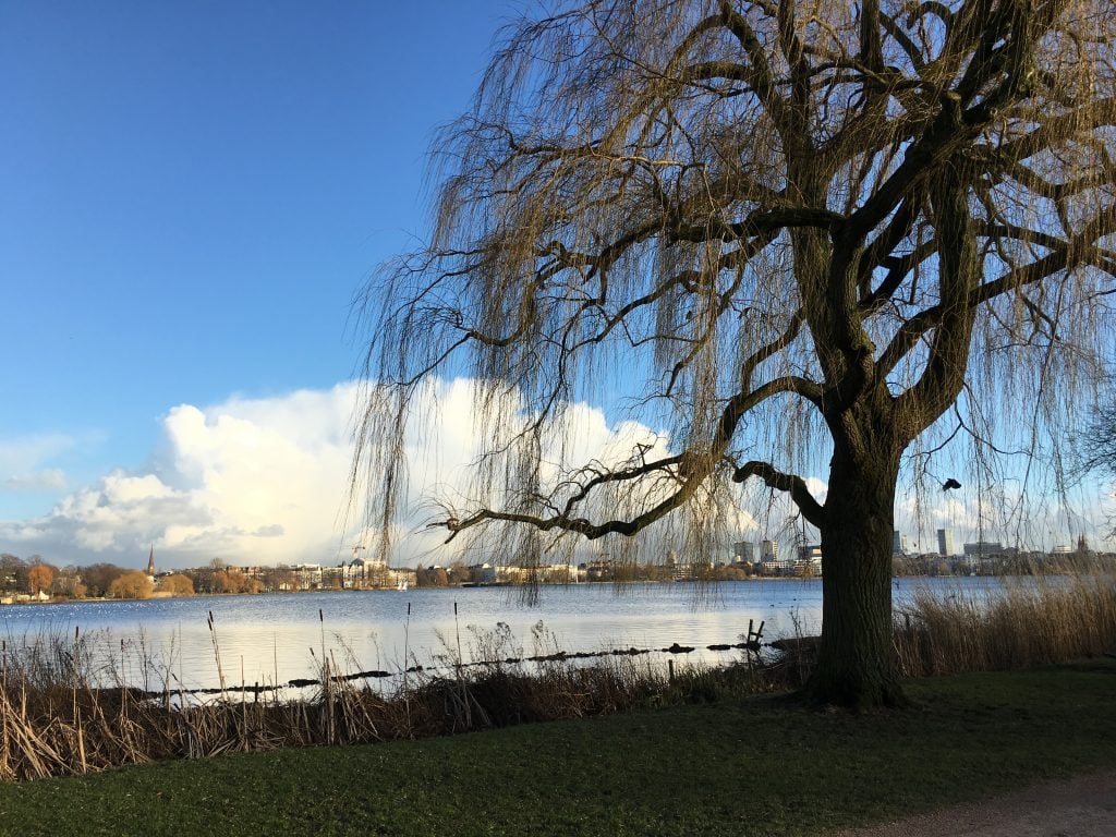 In Dieser Deutschen Stadt Wohnen Sie Jetzt Gratis In Dieser Deutschen Stadt Wohnen Sie Jetzt Gratis
