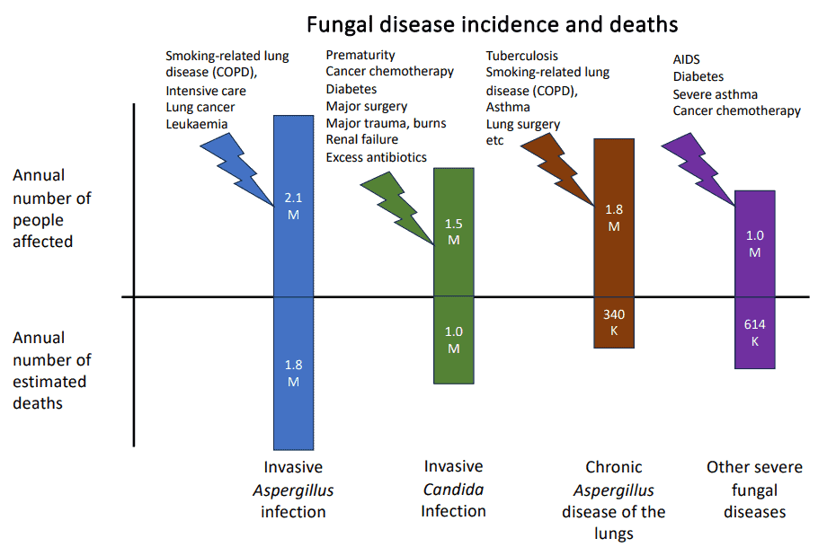 Increased Fungal Infections: A Consequence Of Global Warming Increased Fungal Infections: A Consequence Of Global Warming