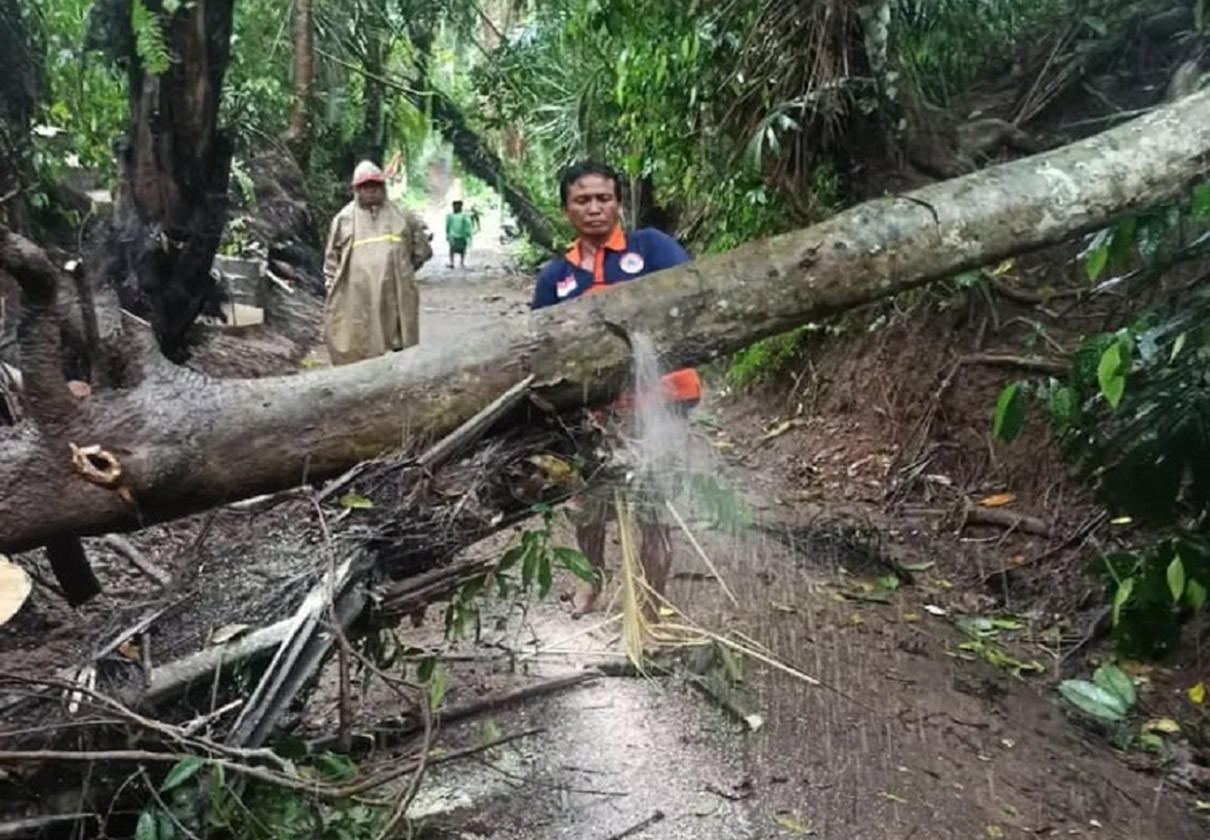 Info Cuaca Bali: Denpasar Hujan, Waspada Banjir Info Cuaca Bali: Denpasar Hujan, Waspada Banjir