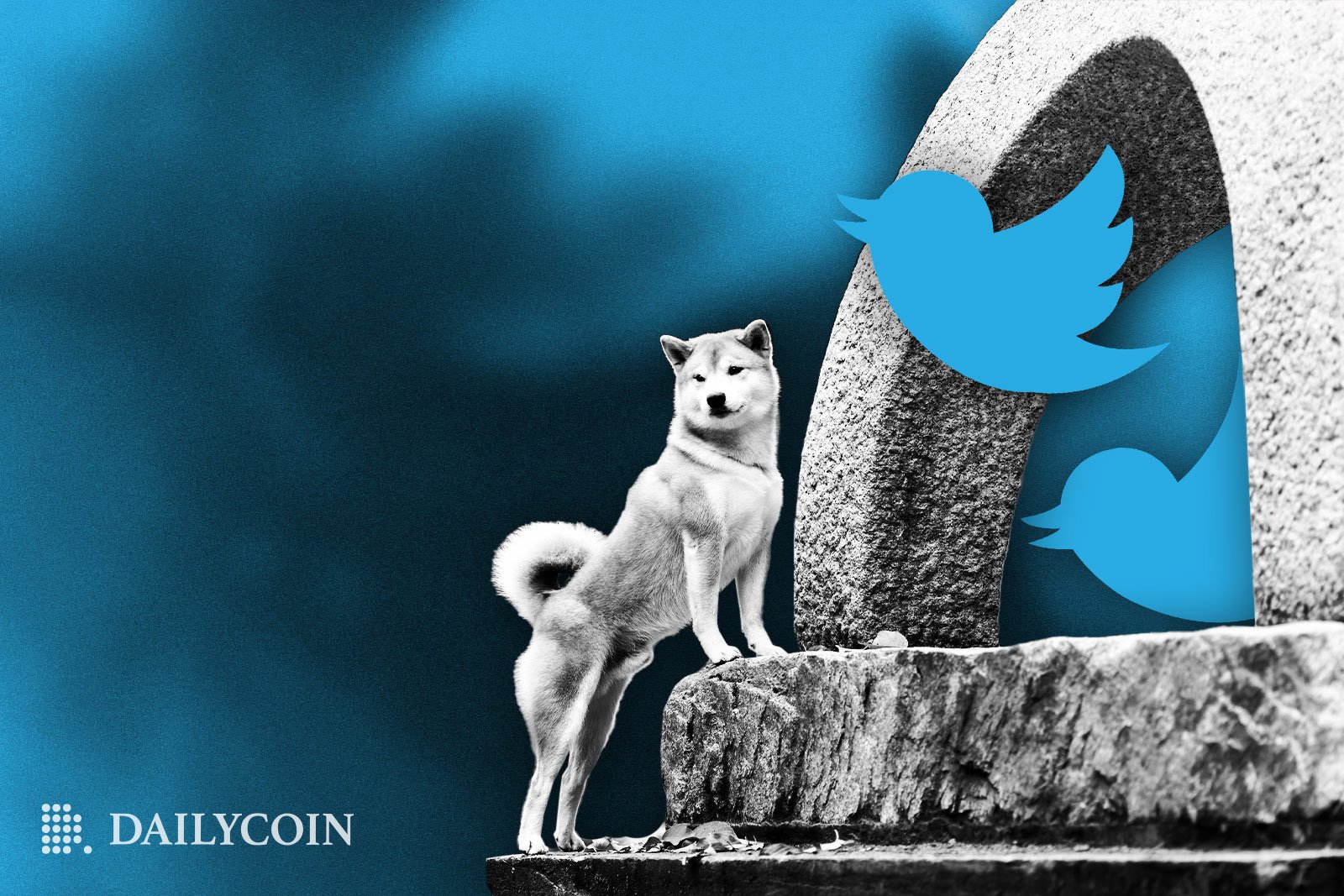 Investment Insights: Why Dogecoin, Shiba Inu, And Sui Are Trending Upward Investment Insights: Why Dogecoin, Shiba Inu, And Sui Are Trending Upward