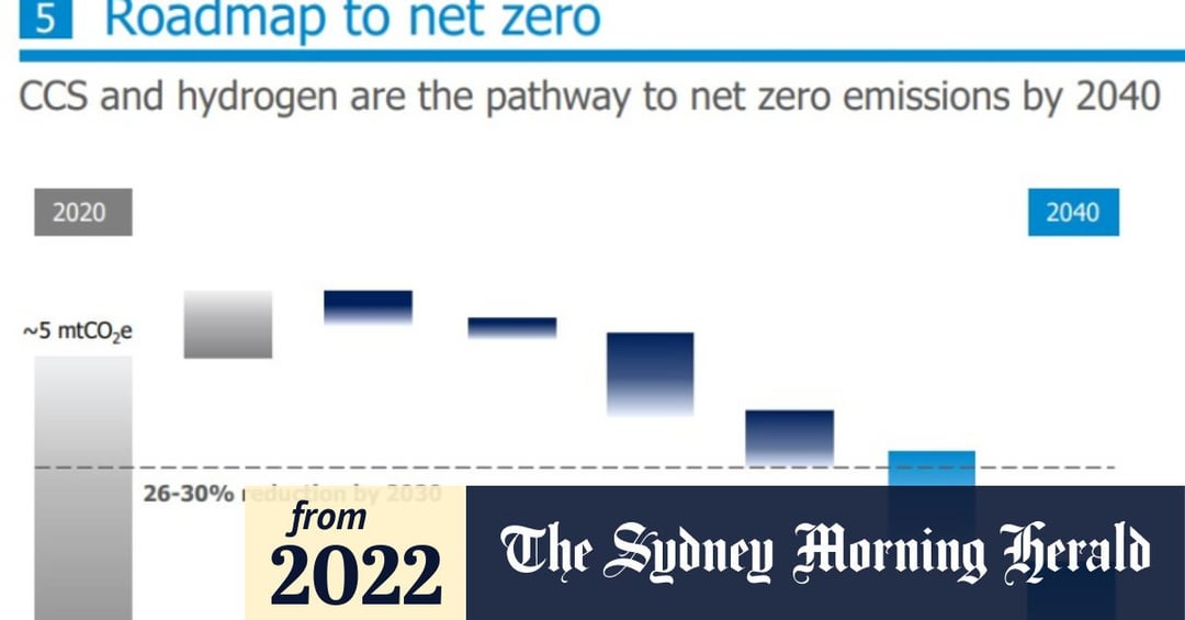 Is Energy Australia's Go Neutral Program Greenwashing? A Legal Case Explored Is Energy Australia's Go Neutral Program Greenwashing? A Legal Case Explored