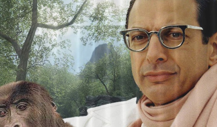Jeff Goldblum: A Candid Look At A Missing Life Experience Jeff Goldblum: A Candid Look At A Missing Life Experience