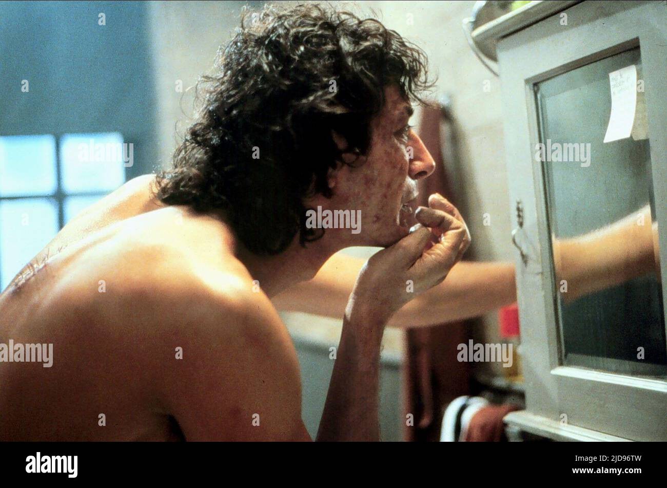 Jeff Goldblum Reflects On The Fly: A Potential Alternate Ending Jeff Goldblum Reflects On The Fly: A Potential Alternate Ending
