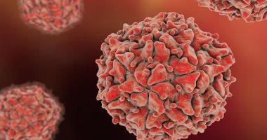 JN.1 Coronavirus Variant: A Comprehensive Guide To Symptoms And Prevention JN.1 Coronavirus Variant: A Comprehensive Guide To Symptoms And Prevention