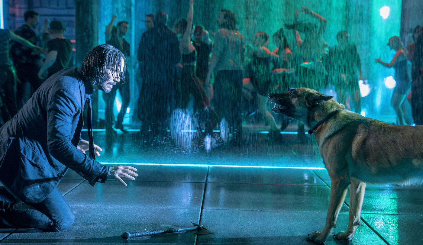 John Wick 5: Why Bringing Back John Wick From The Dead Is Unlikely John Wick 5: Why Bringing Back John Wick From The Dead Is Unlikely