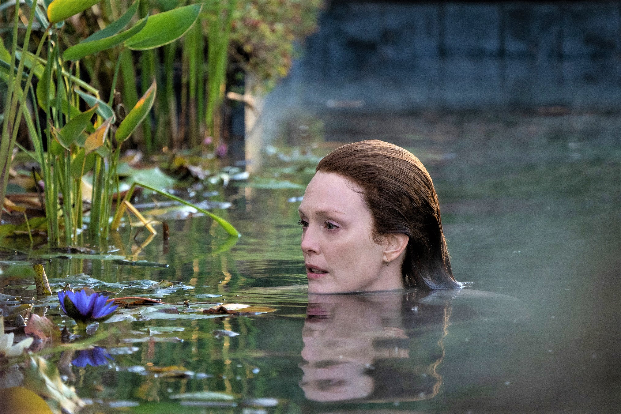 Julianne Moore Addresses Julianne Moore Addresses