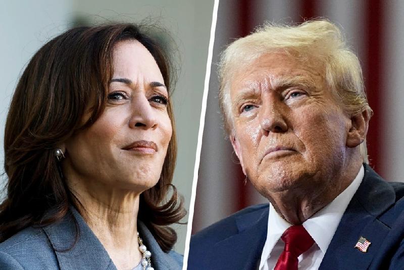 Kamala Harris' Political Future: Key Considerations And Potential Paths Kamala Harris' Political Future: Key Considerations And Potential Paths