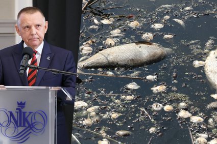 Katastrofa Odry: Trzy Lata Później – Ryzyko Powtórki Wciąż Wysokie Katastrofa Odry: Trzy Lata Później – Ryzyko Powtórki Wciąż Wysokie