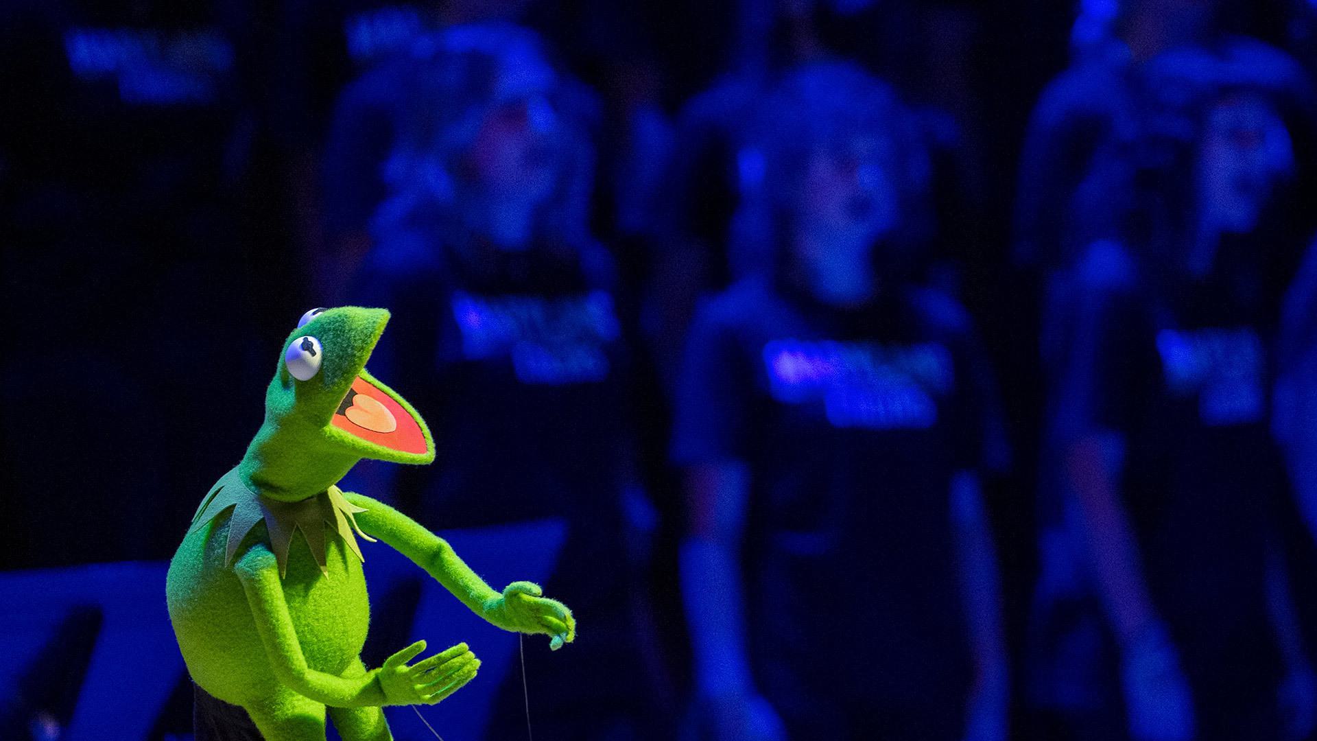 Kermit The Frog To Address UMD Graduates In 2025 Kermit The Frog To Address UMD Graduates In 2025