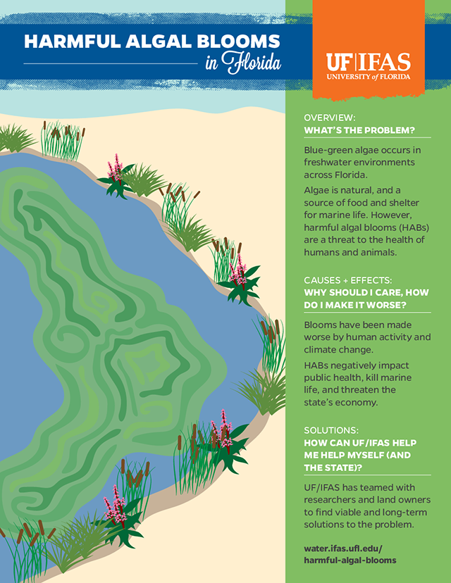 Kodiak Waters: Two Consecutive Harmful Algal Blooms Warn Shellfish Harvesters Kodiak Waters: Two Consecutive Harmful Algal Blooms Warn Shellfish Harvesters