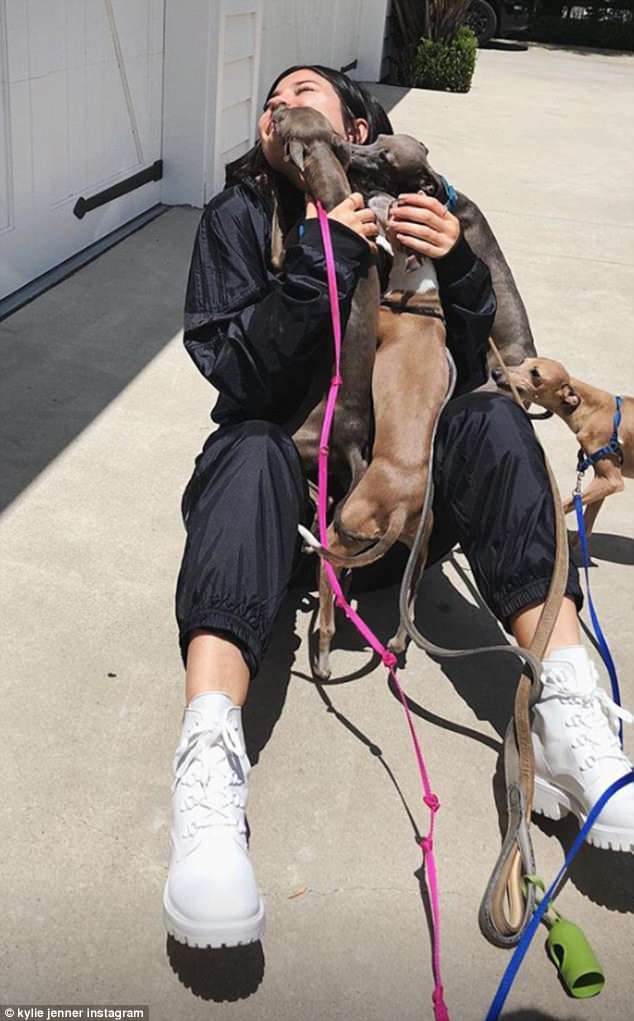 Kyle And Teddi's Explosive Argument With Their Dog Walker Kyle And Teddi's Explosive Argument With Their Dog Walker