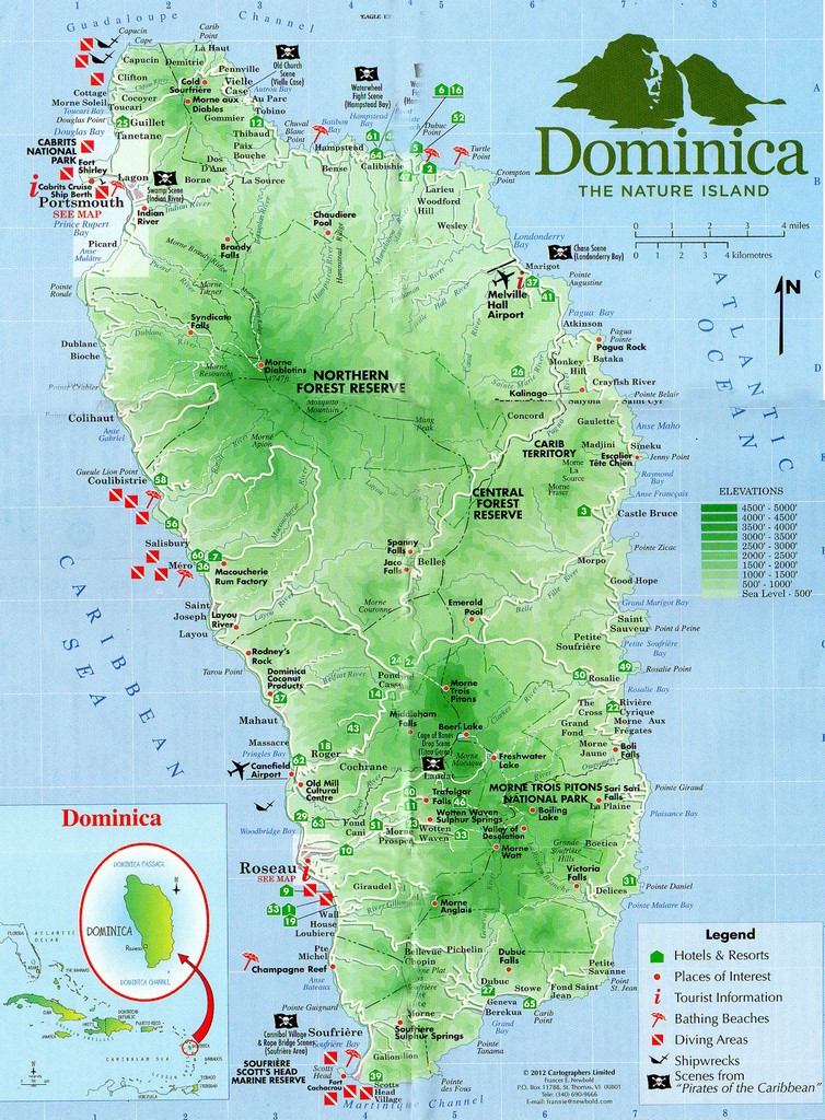 La Carte Blanche De Dominique Carlach : Analyse D'une Œuvre Majeure La Carte Blanche De Dominique Carlach : Analyse D'une Œuvre Majeure