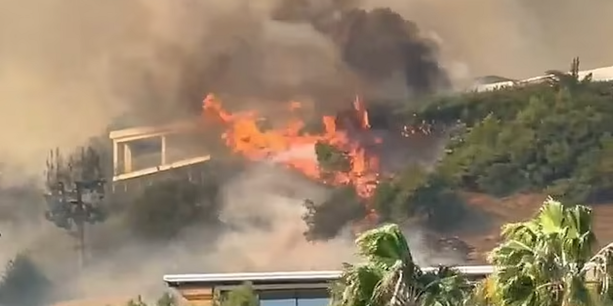LA Palisades Wildfires: Which Celebrities Lost Their Homes? LA Palisades Wildfires: Which Celebrities Lost Their Homes?