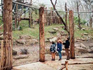 Leeflang-Aangelegenheid: Bruins Moet Met NPO Toezichthouder In Overleg Leeflang-Aangelegenheid: Bruins Moet Met NPO Toezichthouder In Overleg